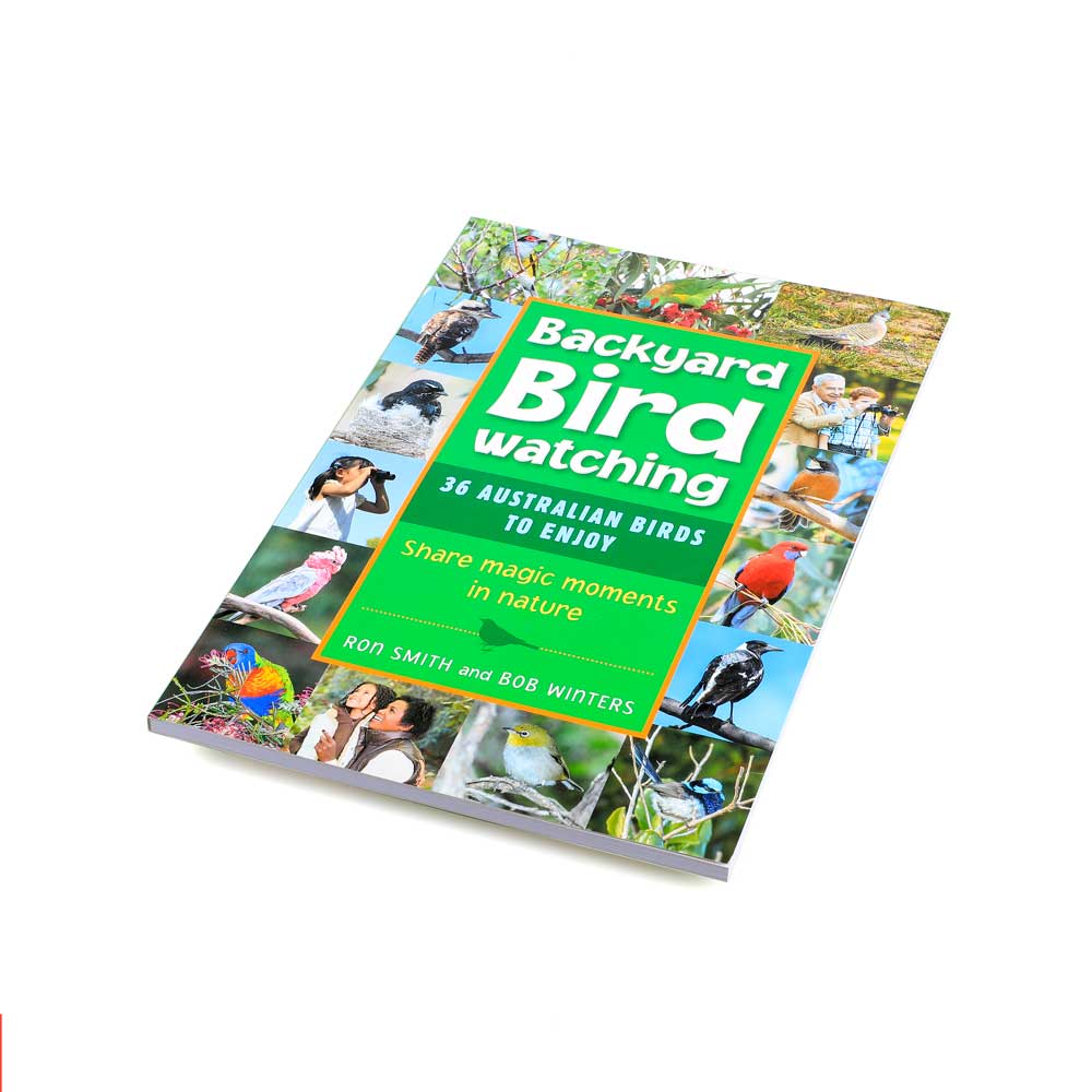 backyard bird watching book for kids
