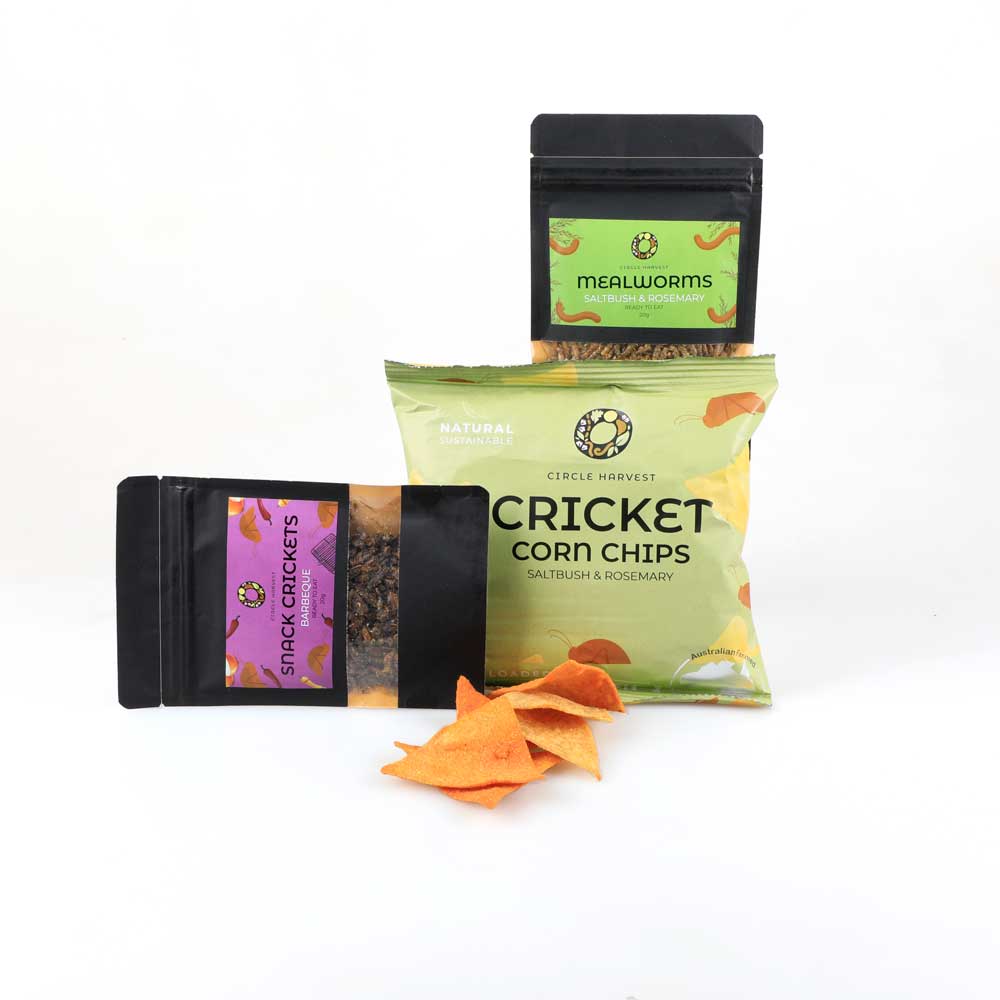 Edible insects gift pack barbecue snack crickets, saltbush and rosemary mealworms and cricket corn chips photographed on white background. australian Museum shop online