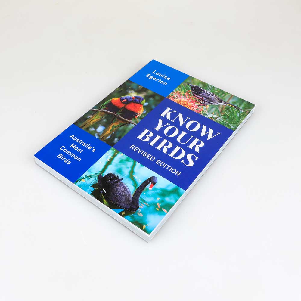 Know your birds Australia's most common birds photographed on white background. Australian Museum shop online
