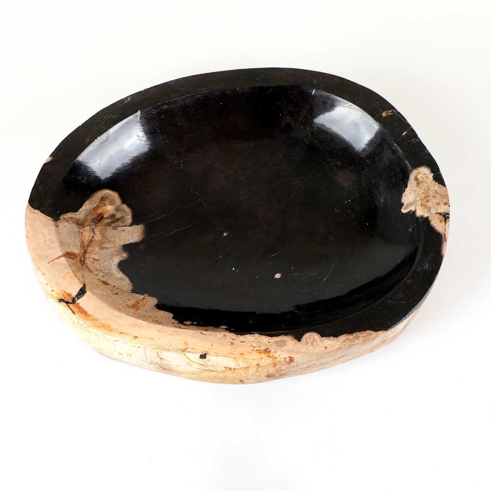 Petrified wood bowl. Australian Museum Shop online