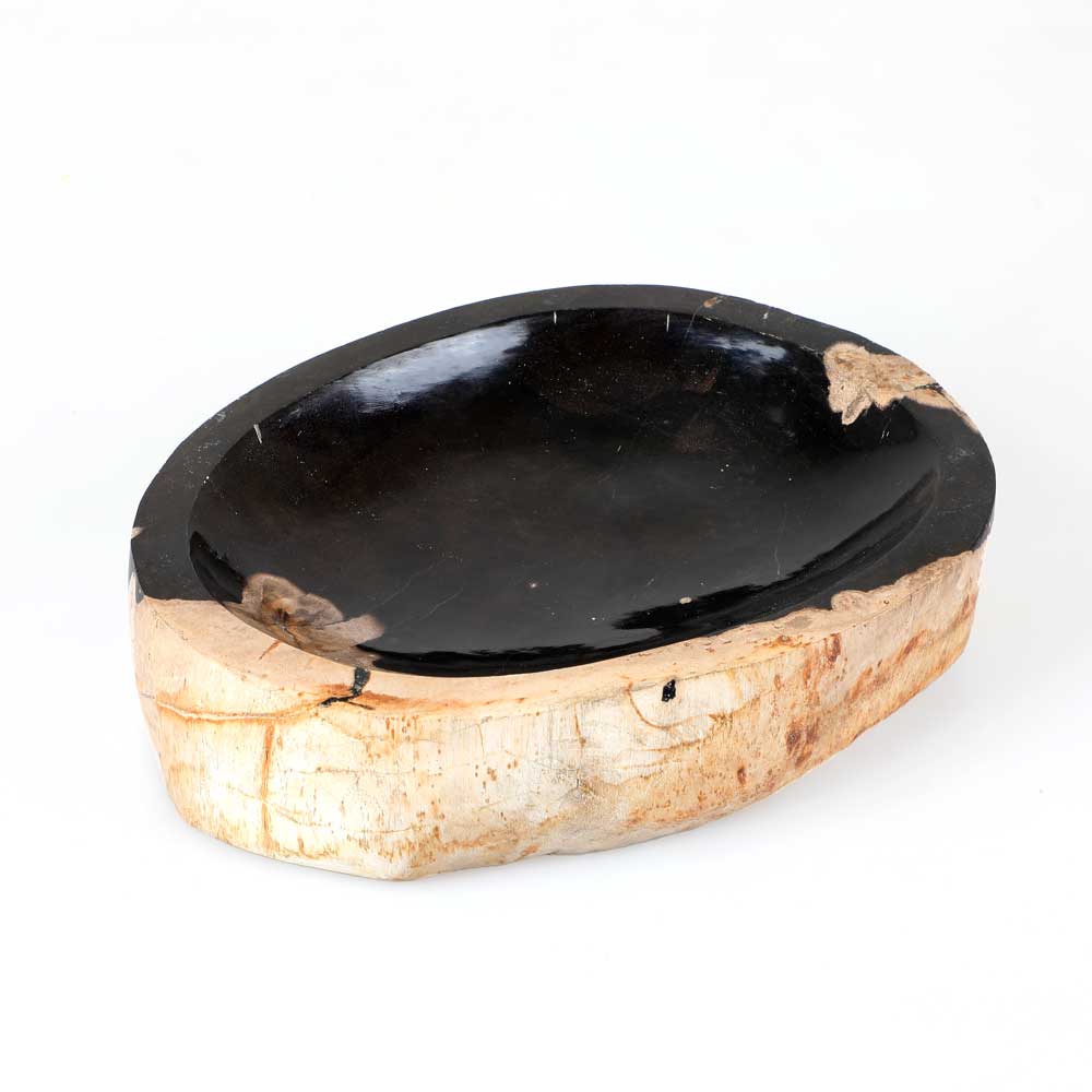 Petrified wood bowl. Australian Museum Shop online