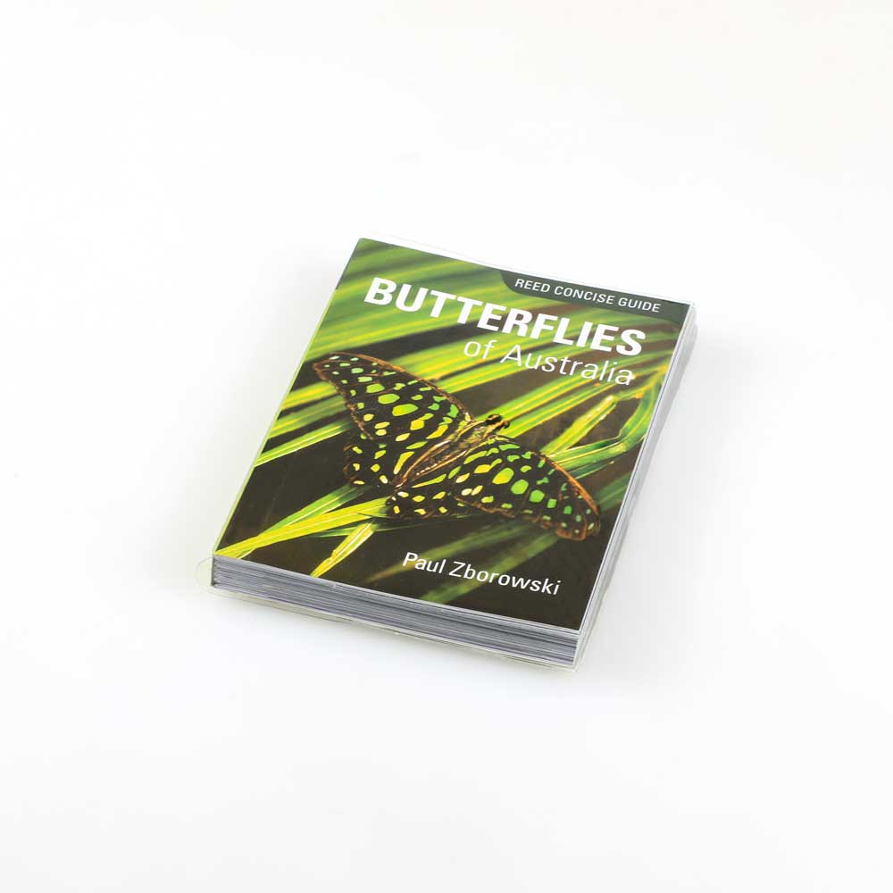 Reed Concise Guide To Butterflies of Australia photographed on white background Australian Museum shop online