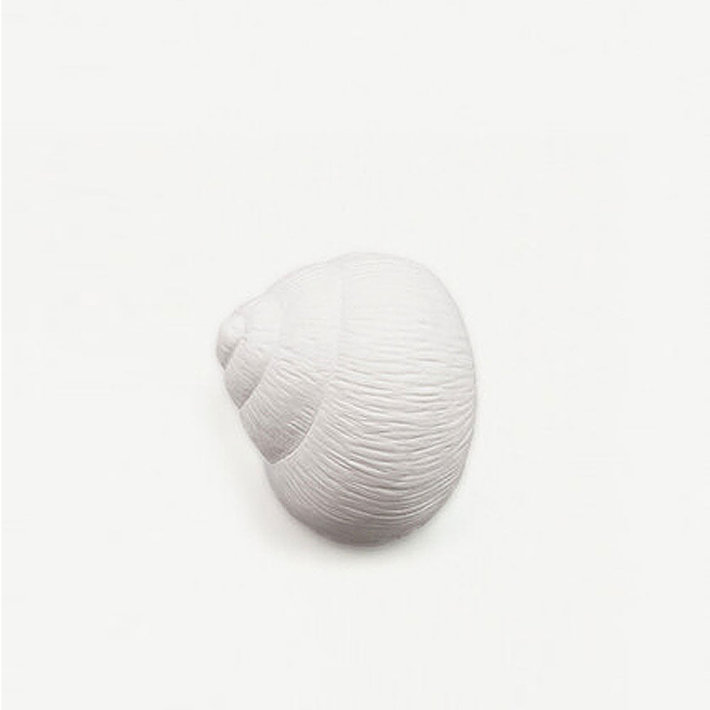snail shaped acrylic resin wall hook photographed against white background. Australian Museum Shop online