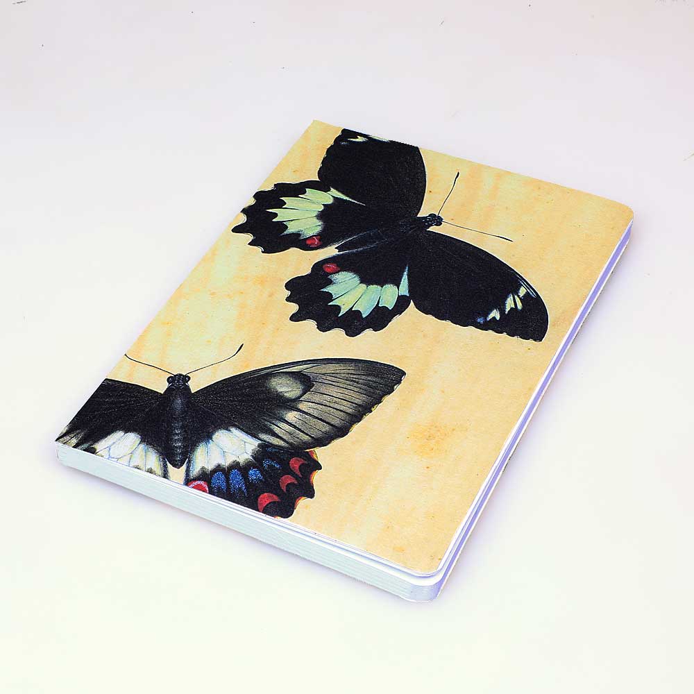 Blank journal featuring illustration by the Scott Sisters Australian Museum Shop online