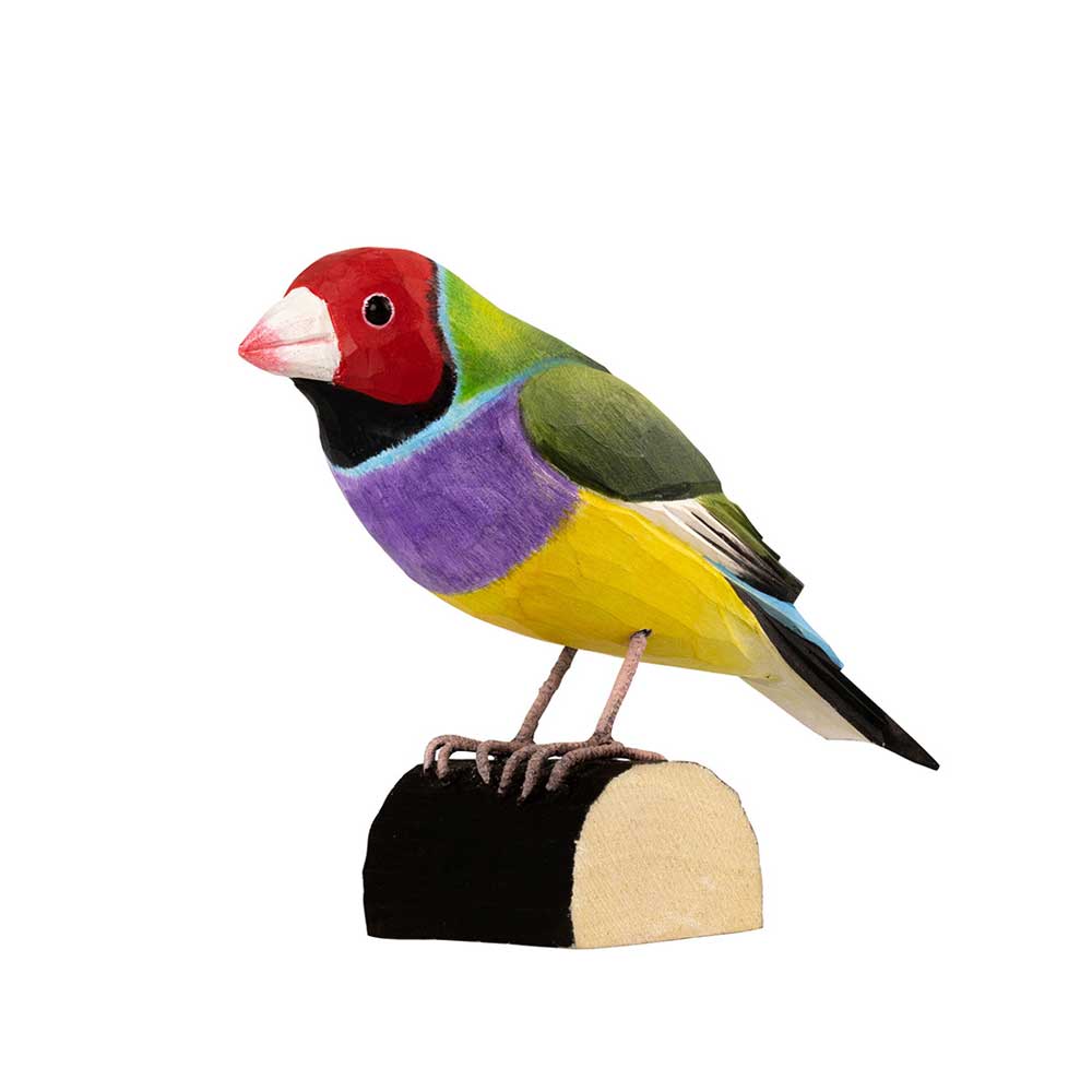 Gouldian finch hand carved linden wood deco bird photographed against white background. Australian Museum Shop online