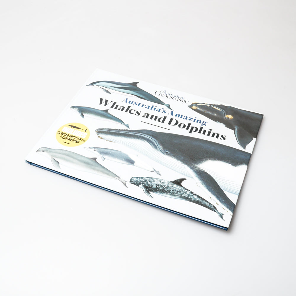 Australias amazing whales and dolphins. Illustrated book about the 45 species of whales and dolphins that frequent Australian waters. Australian museum shop online