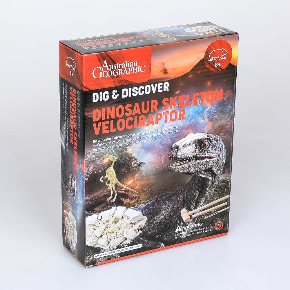 Educational dinosaur kit. Dig and Discover a velociraptor skeleton. Australian Museum Shop online