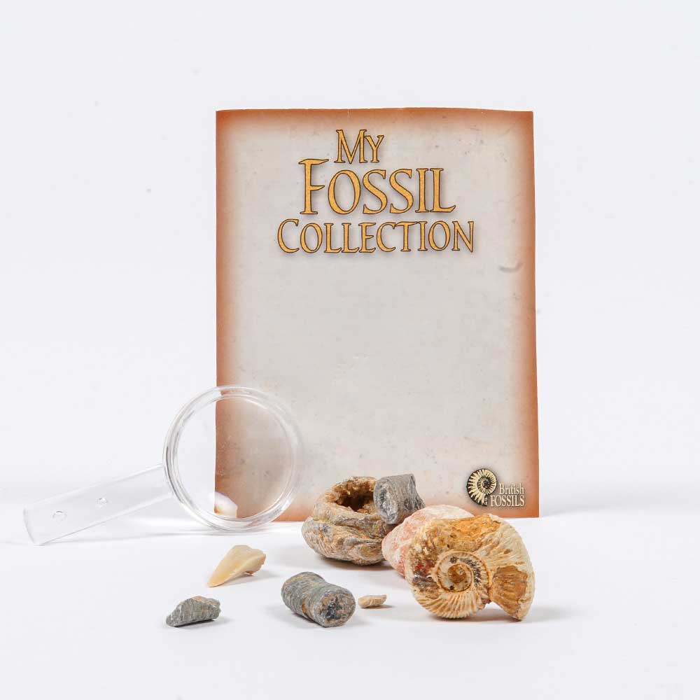 My Fossil Collection bag and magnifying glass. Australian Museum shop online