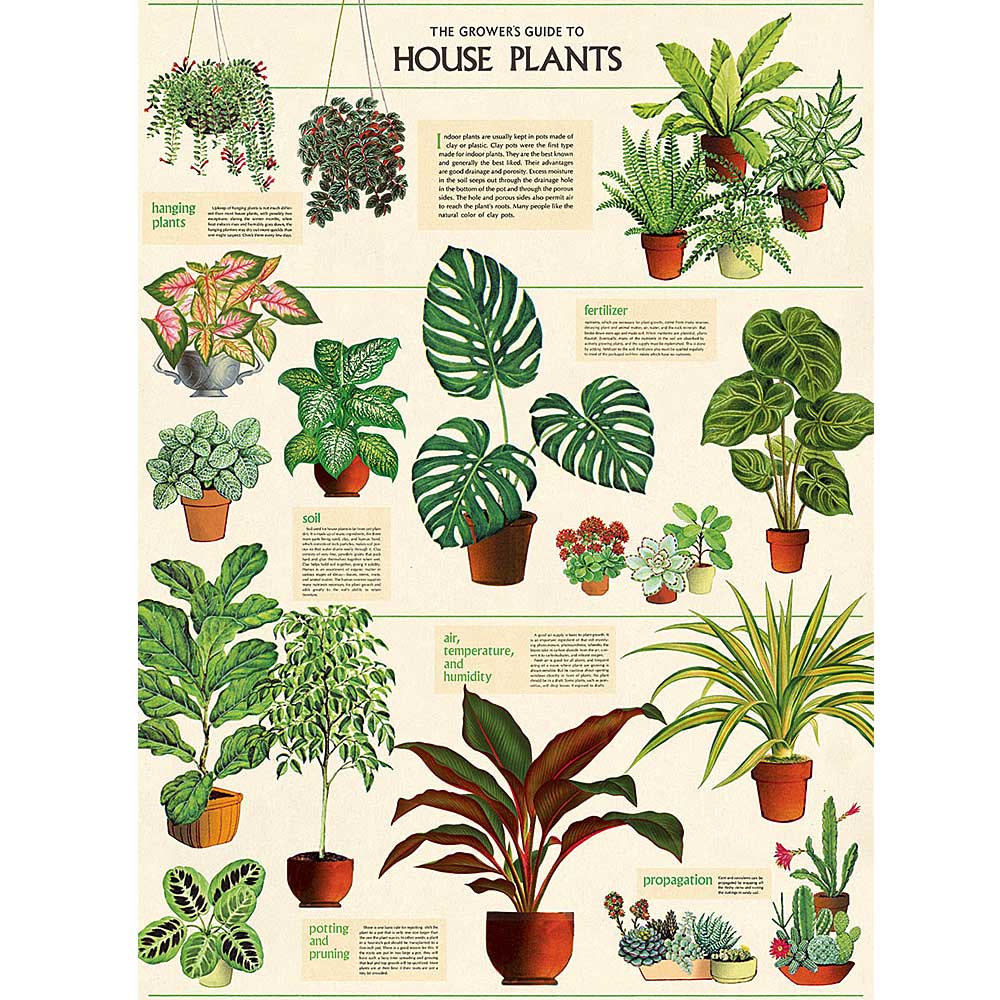 House plants vintage artwork poster or gift wrap Australian Museum Shop online