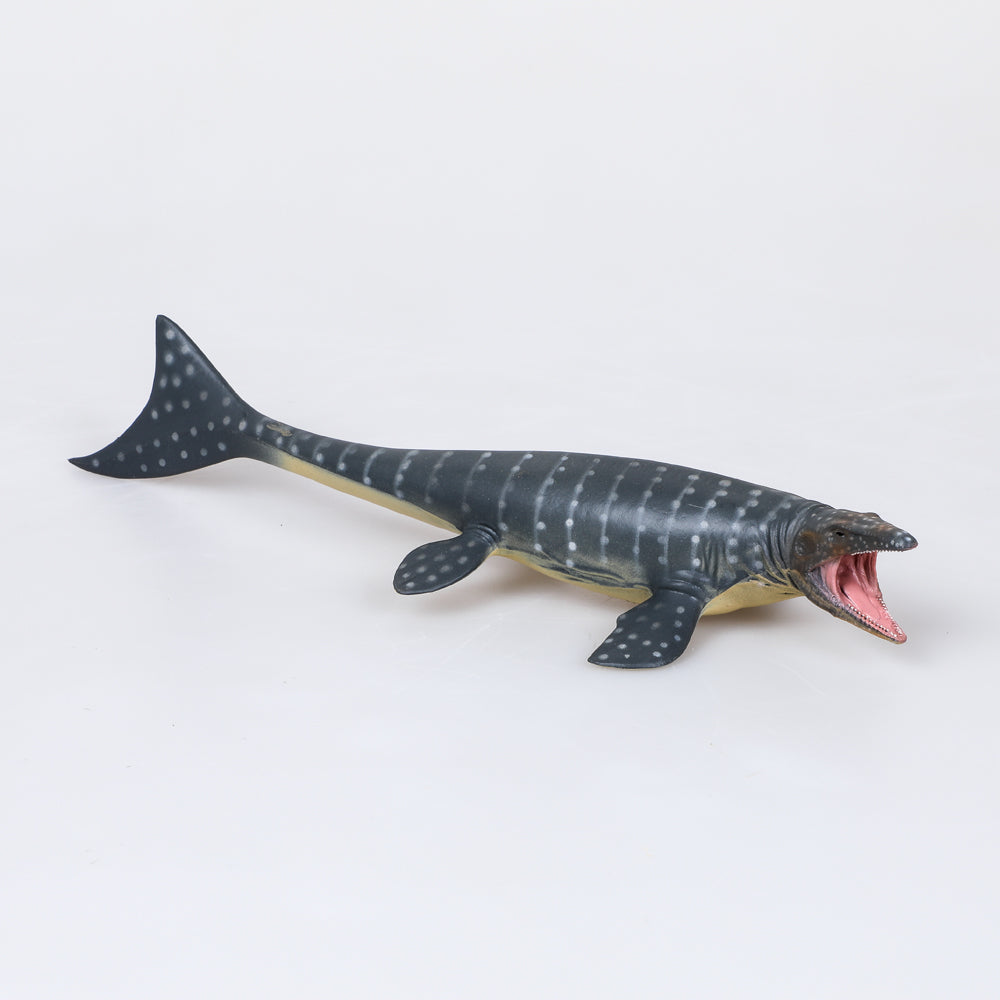 Mosasaurus model. Australian Museum Shop online
