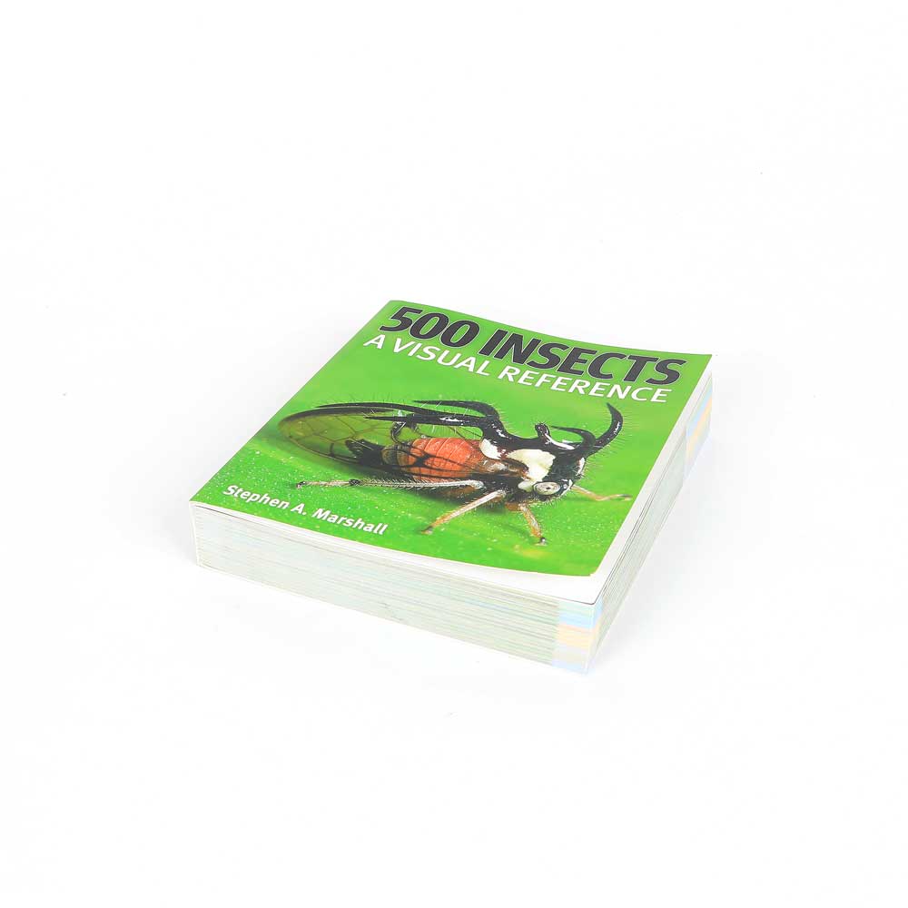 500 Insects: A Visual Reference – Australian Museum Shop