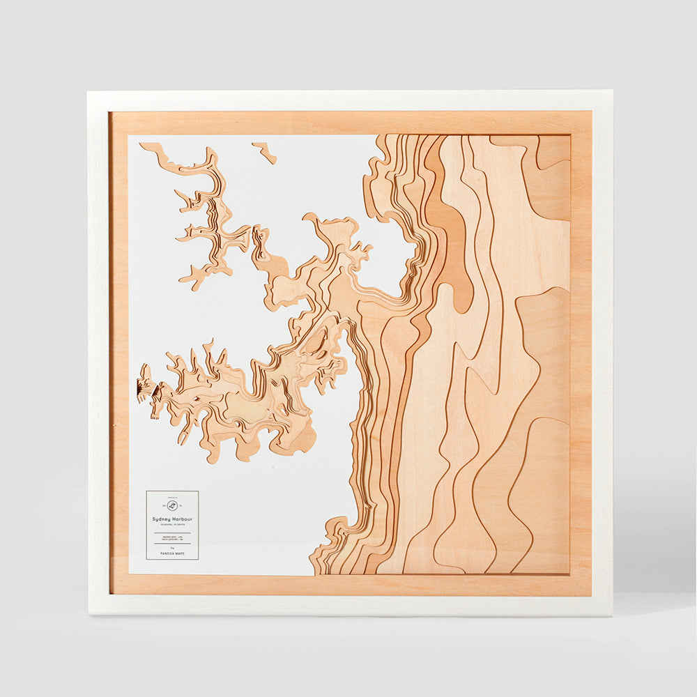 Pangea Map Sydney Harbour Birchwood Ply, on white background