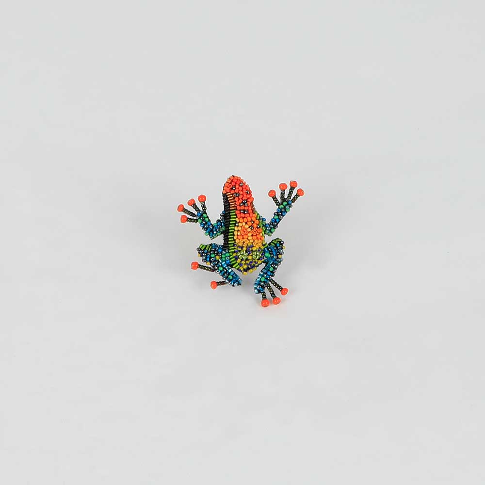 Beaded nature brooch hand made in india on white background. Amazonian poison dart frog brooch