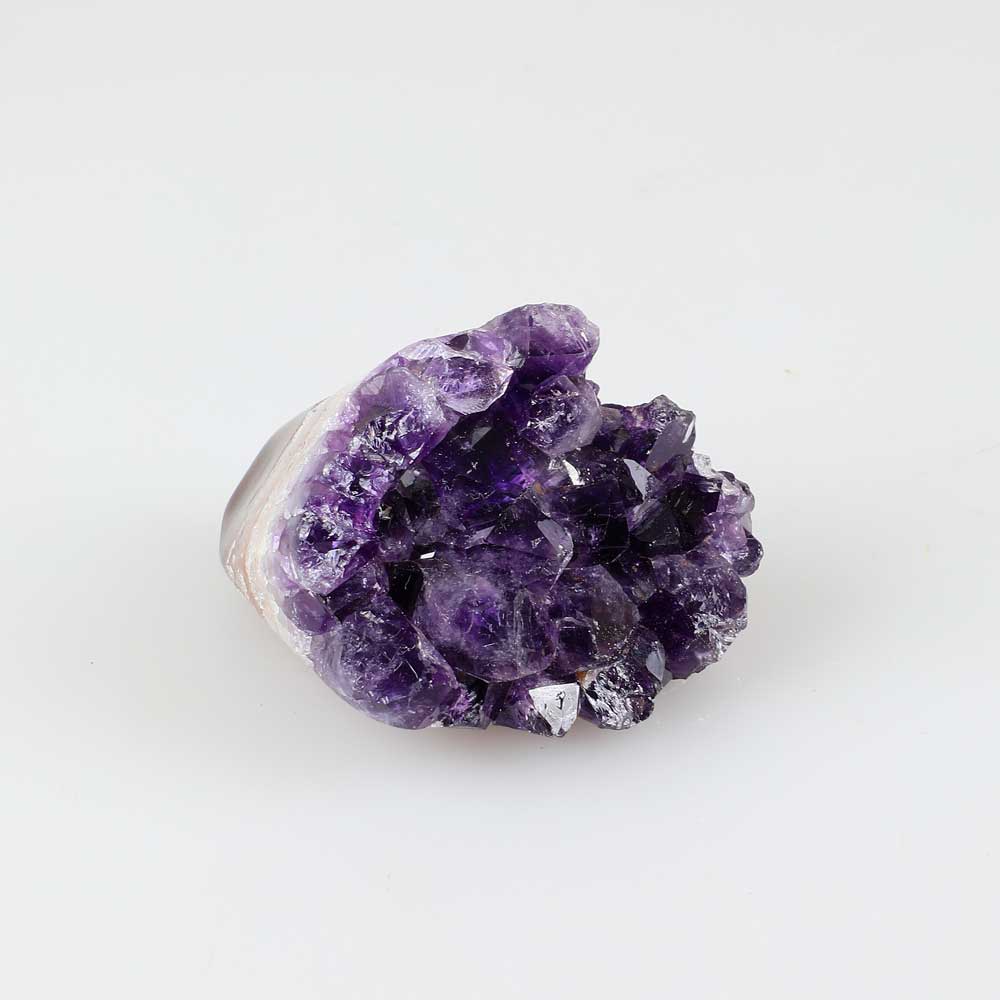 Small amethyst cluster photographed on white background Australian Museum Shop online