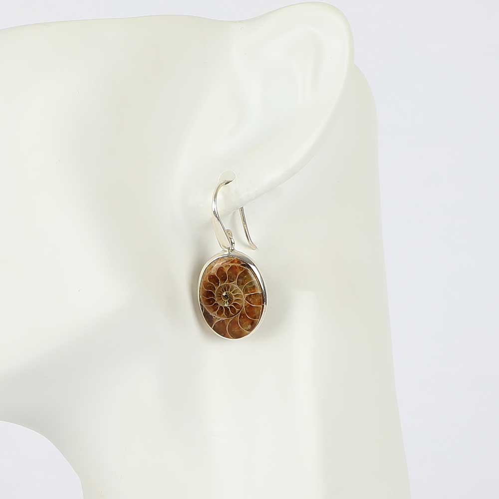 Ammonite Earrings with sterling silver mount and pierced ear hooks on white mannequin