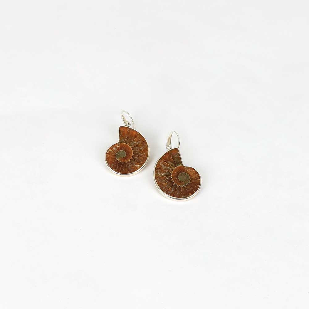 Ammonite Earrings with sterling silver mount and pierced ear hooks on white background