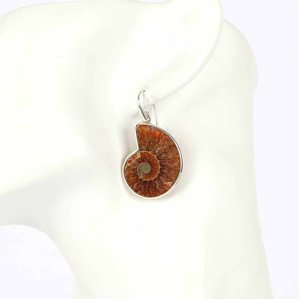 Ammonite Earrings with sterling silver mount and pierced ear hooks on white mannequin