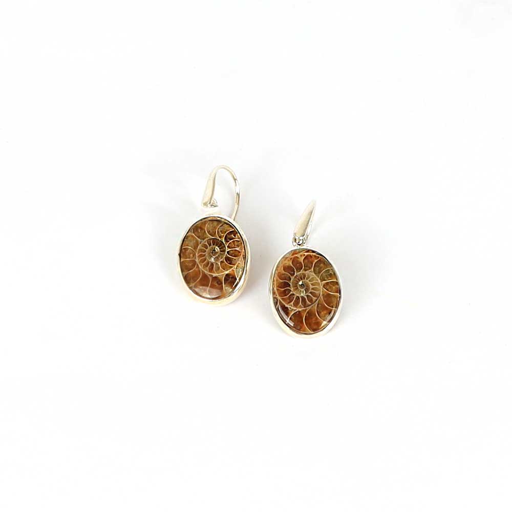 Ammonite Earrings with sterling silver mount and pierced ear hooks on white background