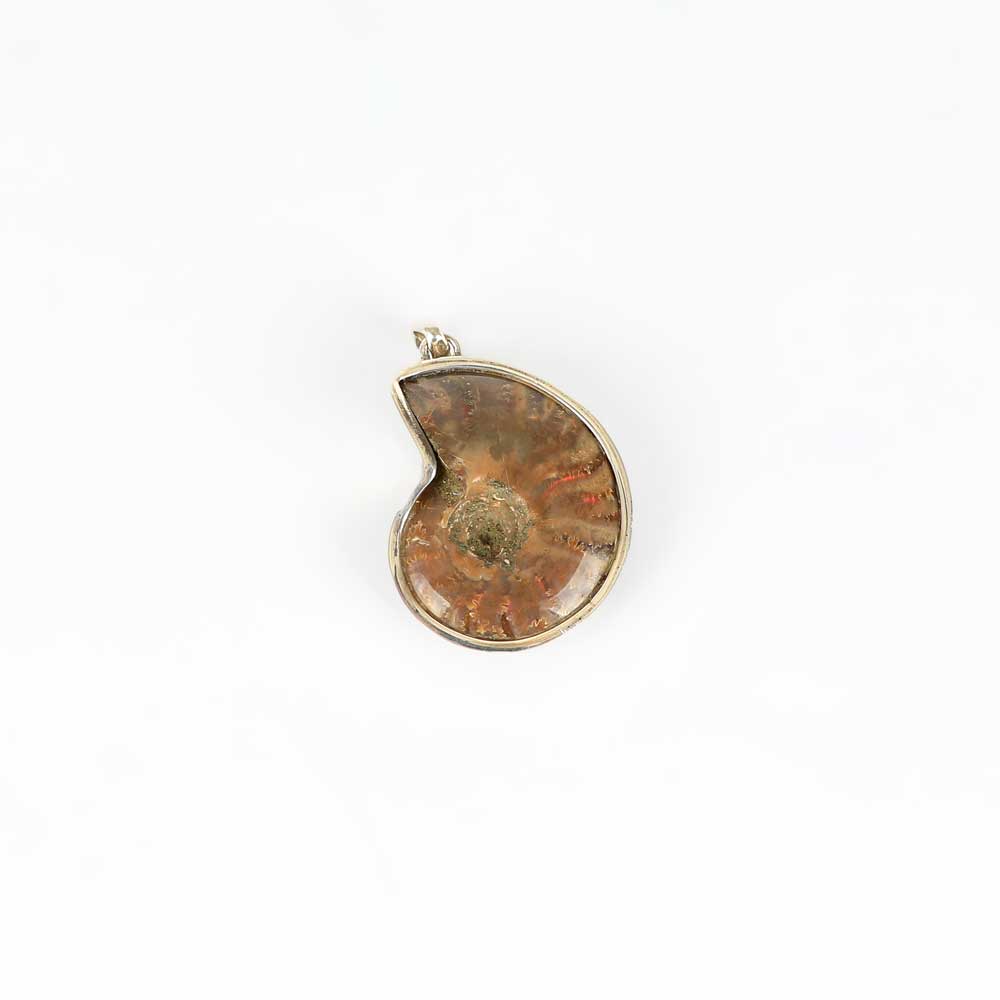 Ammonite Pendant on white background