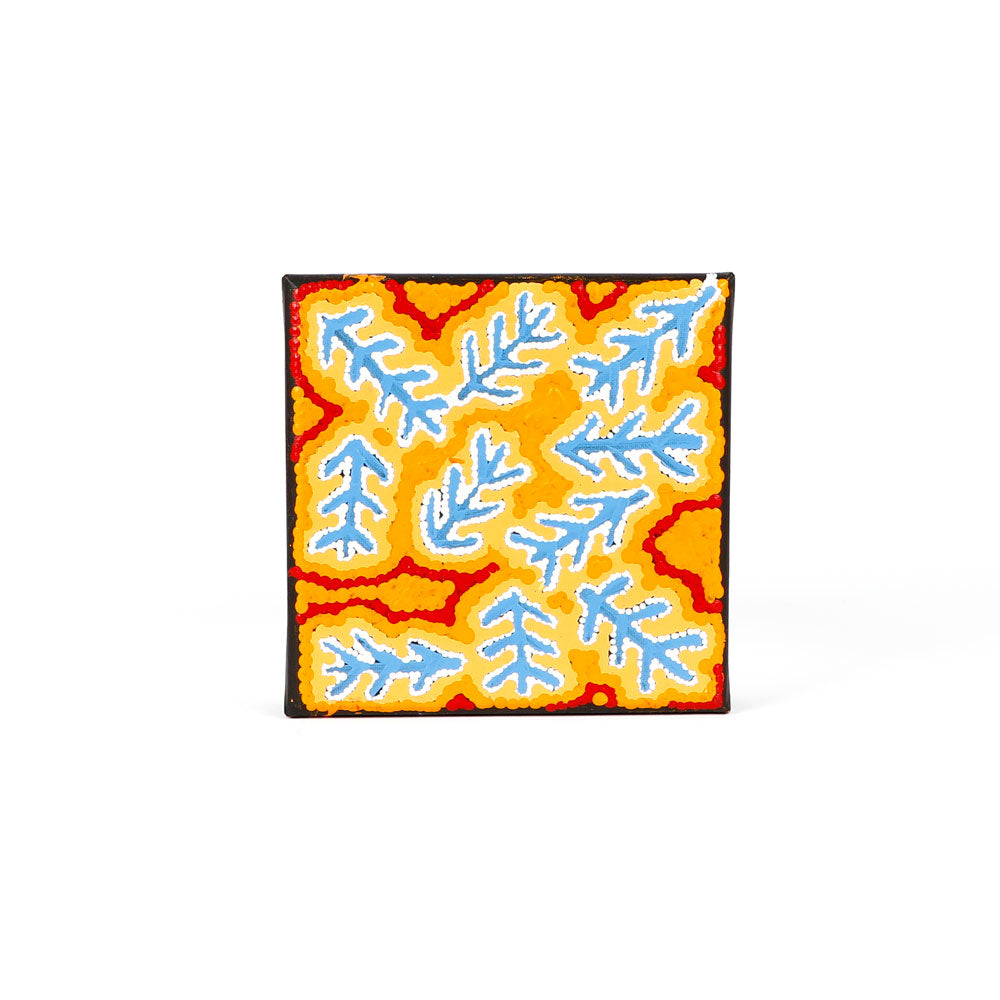 Angela Nangala Robertson original artwork acrylic on canvas on white background