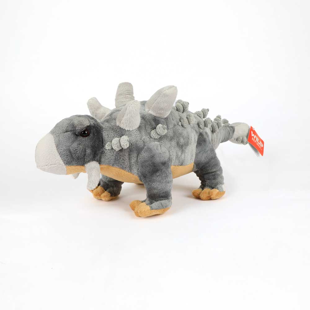 Ankylosaurus plush toy on white background