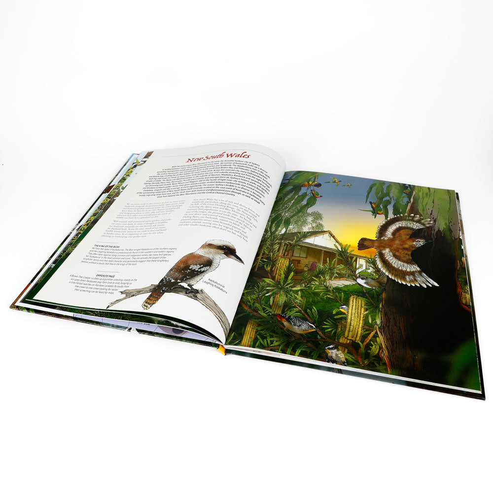 Internal pages of Book titled 'Australia's Backyard Birds' with illustrations of various birds on a white background