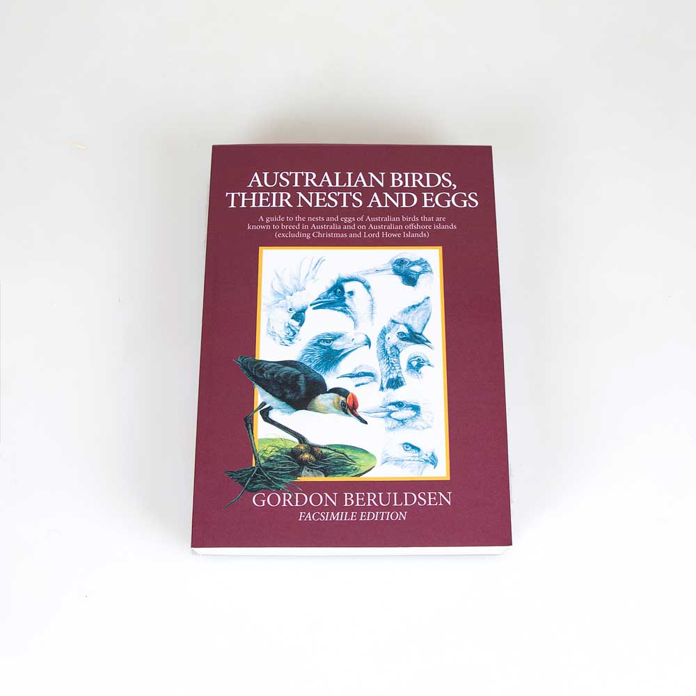 Australian birds their nests and eggs on white background for the Australian Museum Shop online