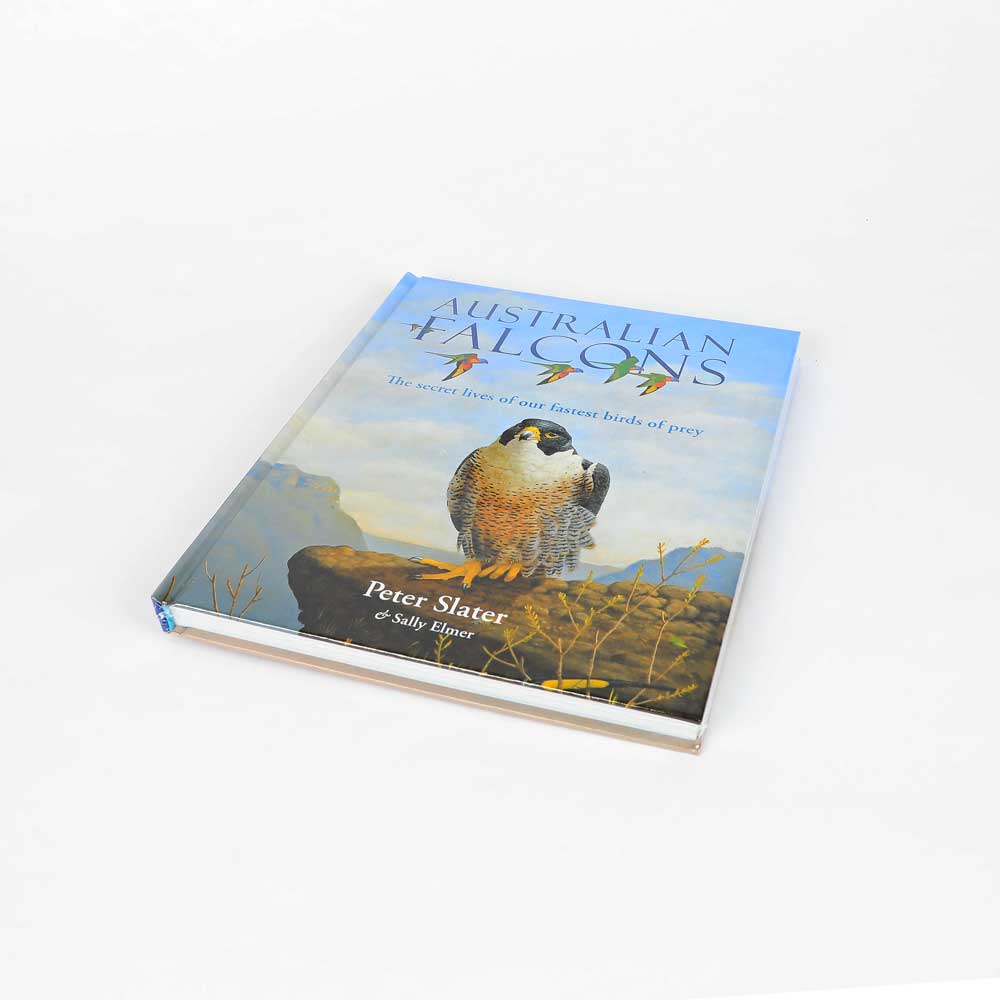 Australian Falcons book on white background