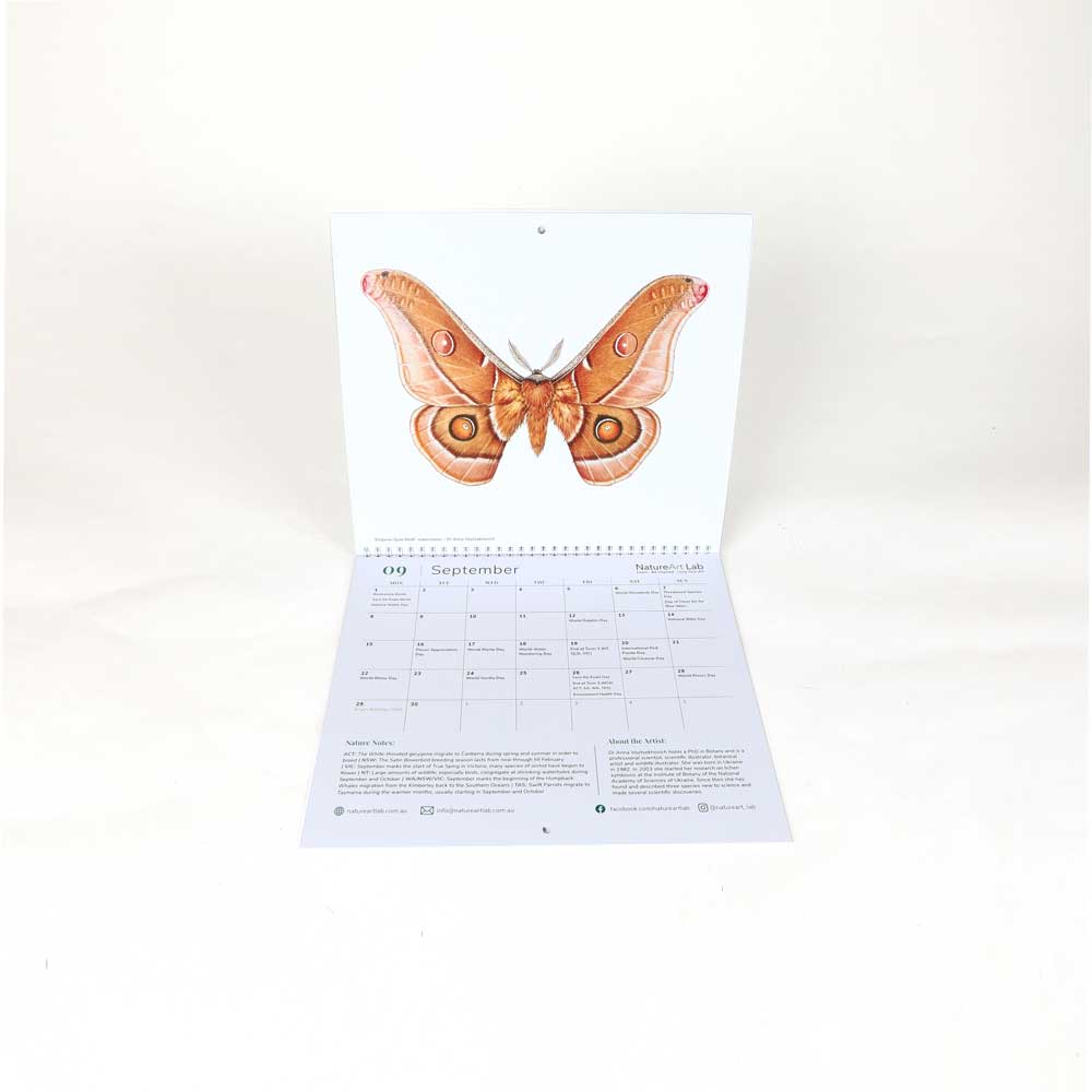 Australian natural history art calendar. September. on white background for Australian Museum Shop online