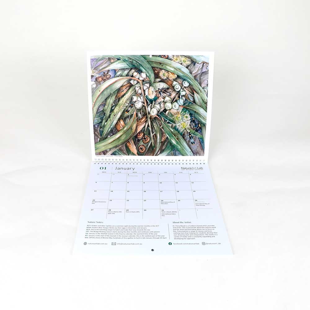 Australian natural history art calendar. January. on white background for Australian Museum Shop online