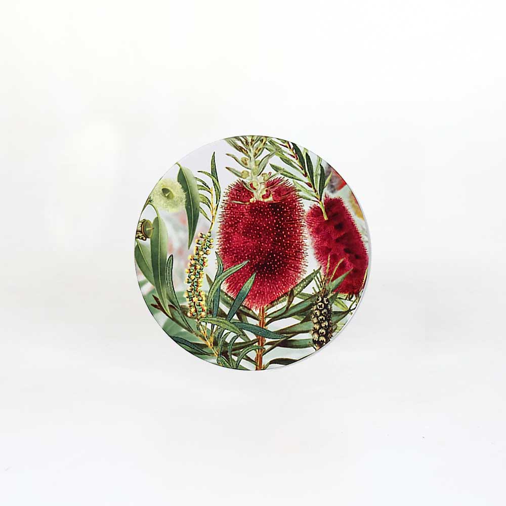 Bottle Brush coaster on white background