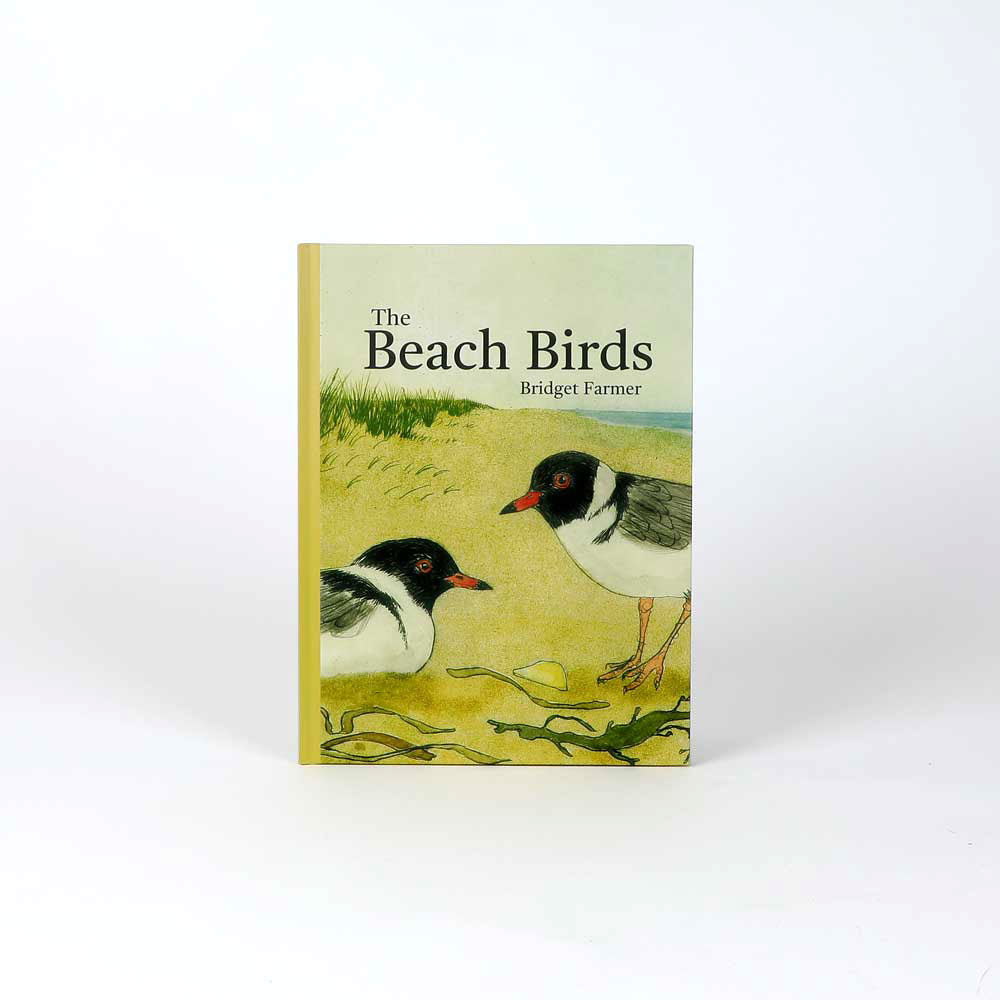 The beach birds book cover on white background