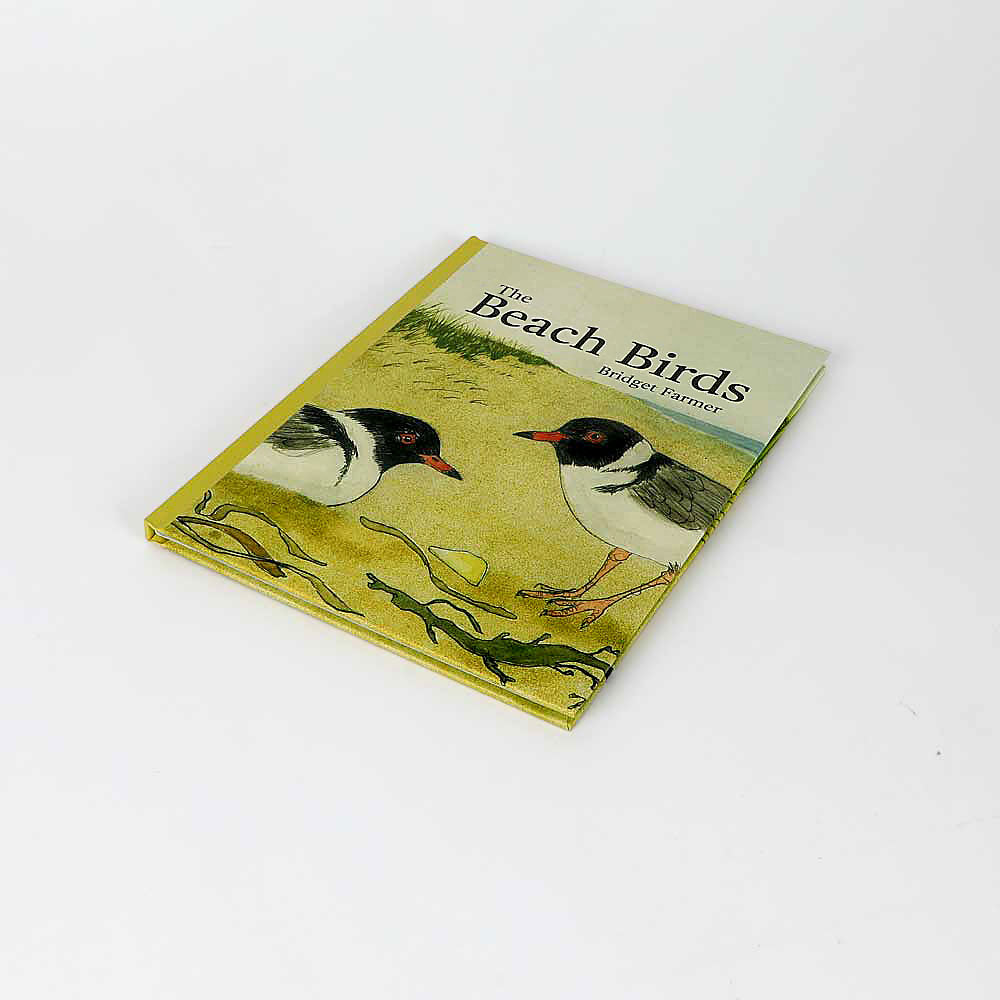 The beach birds book cover on white background