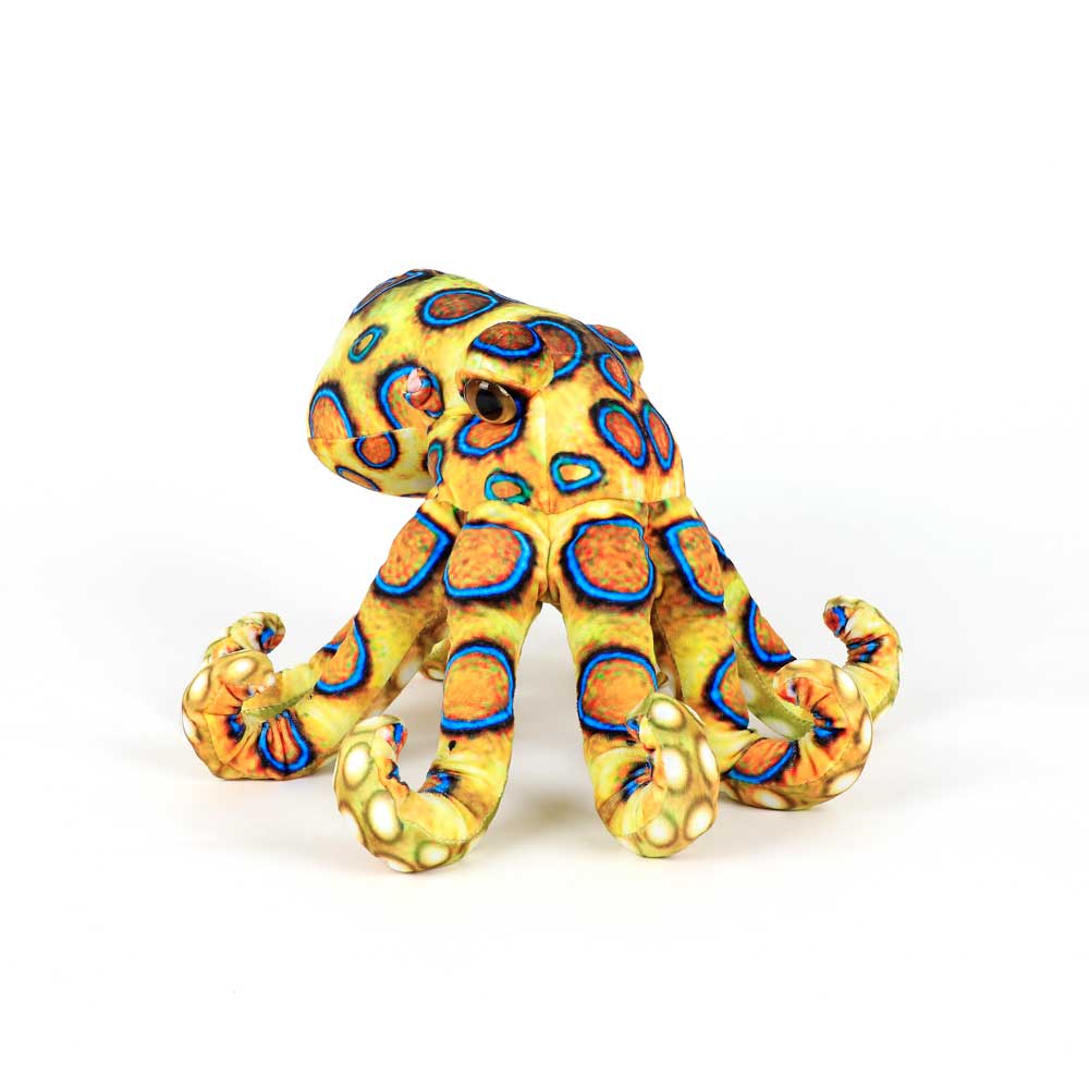 Blue ringed octopus printed plush toy on white background for Australian Museum Shop online