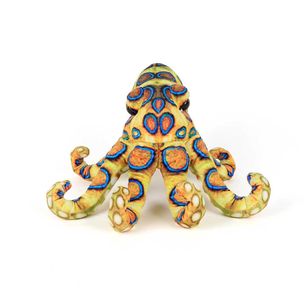 Blue ringed octopus printed plush toy on white background for Australian Museum Shop online