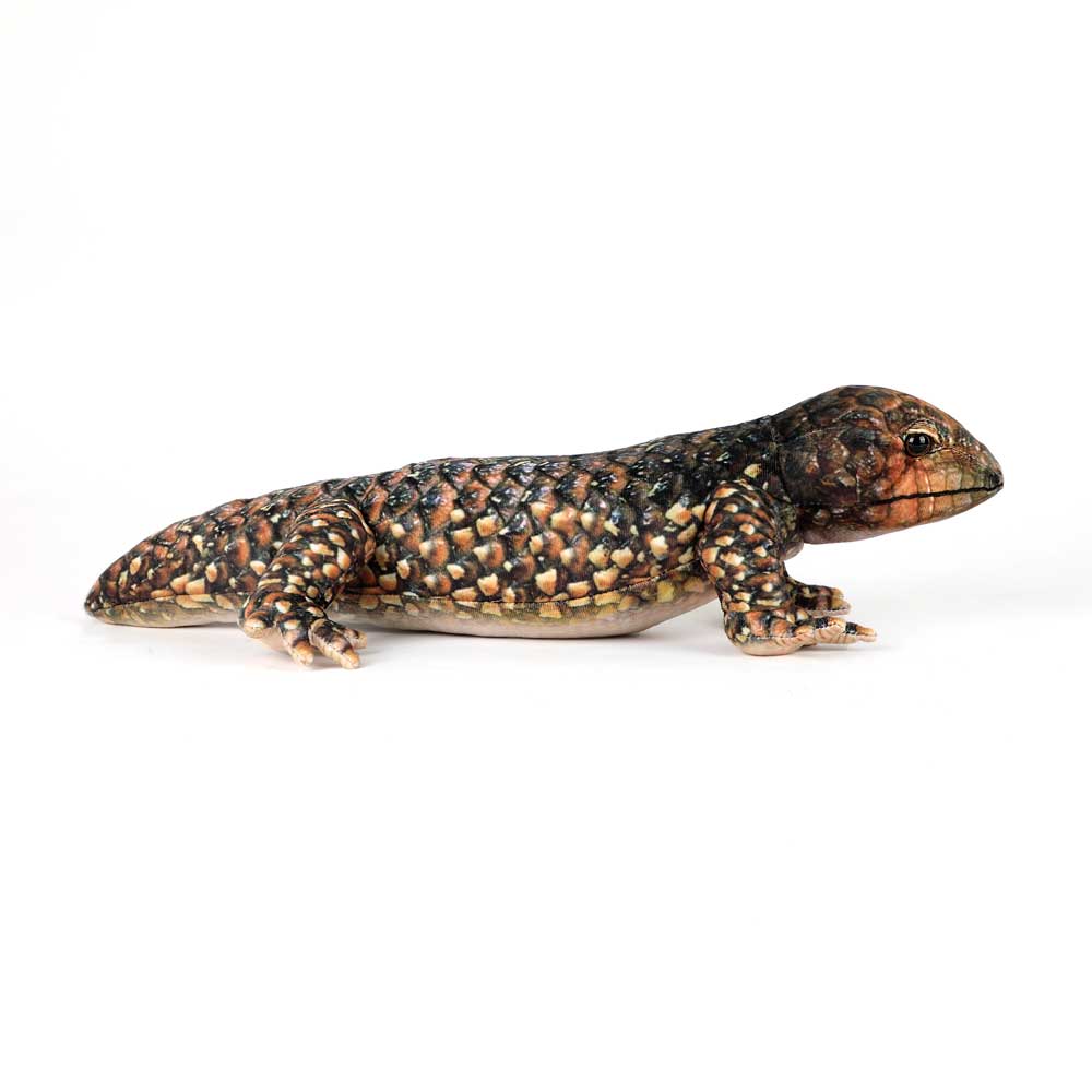 Bobby the Bobtail – Plush Australian Bobtail Lizard on white background