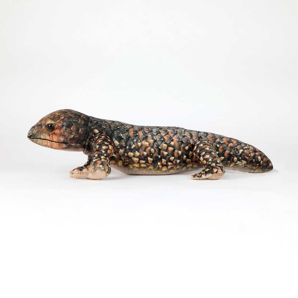 Bobby the Bobtail – Plush Australian Bobtail Lizard on white background