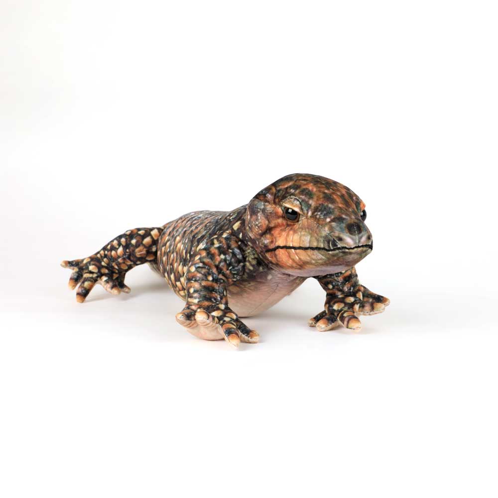 Bobby the Bobtail – Plush Australian Bobtail Lizard on white background