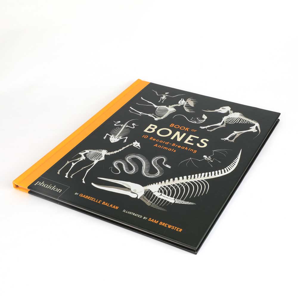 Book of bones 10 record-breaking animals on white background for Australian Museum shop online