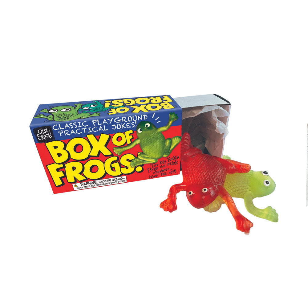 Box of Frogs toy on white background