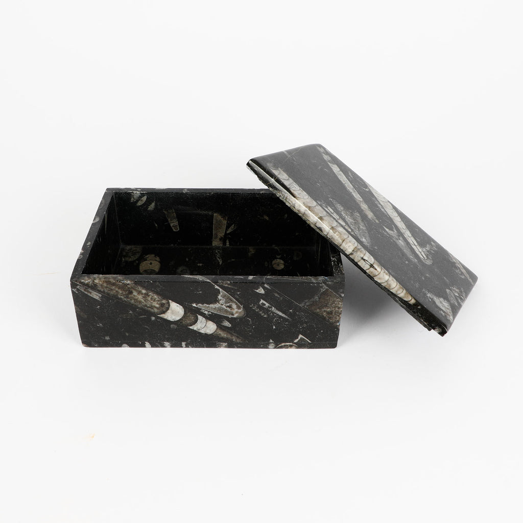 Black fossiliferous marbled jewellery box with a lid on a white background