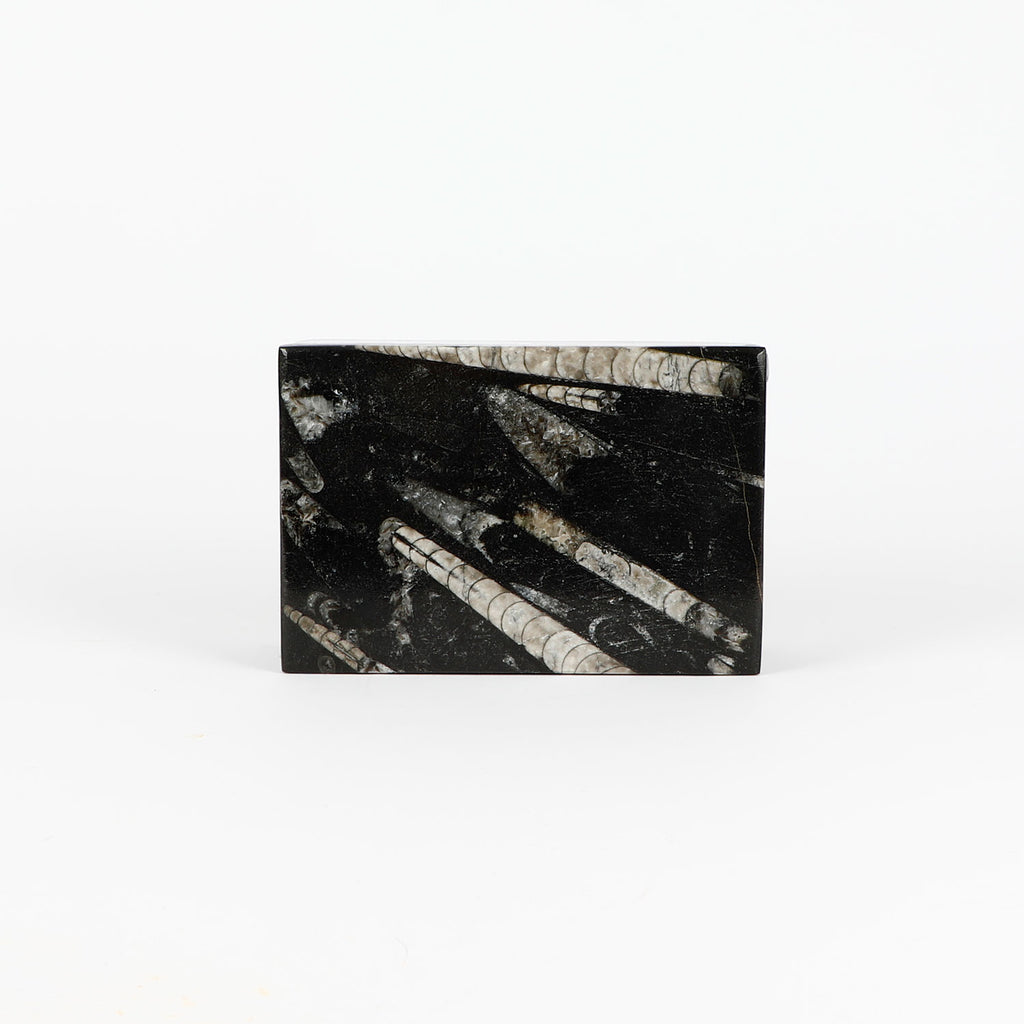 Black fossiliferous marbled jewellery box with a lid on a white background