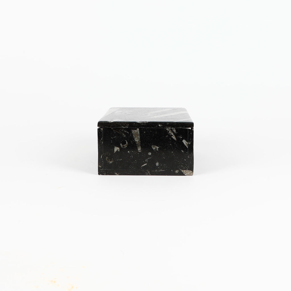 Black fossiliferous marbled jewellery box with a lid on a white background