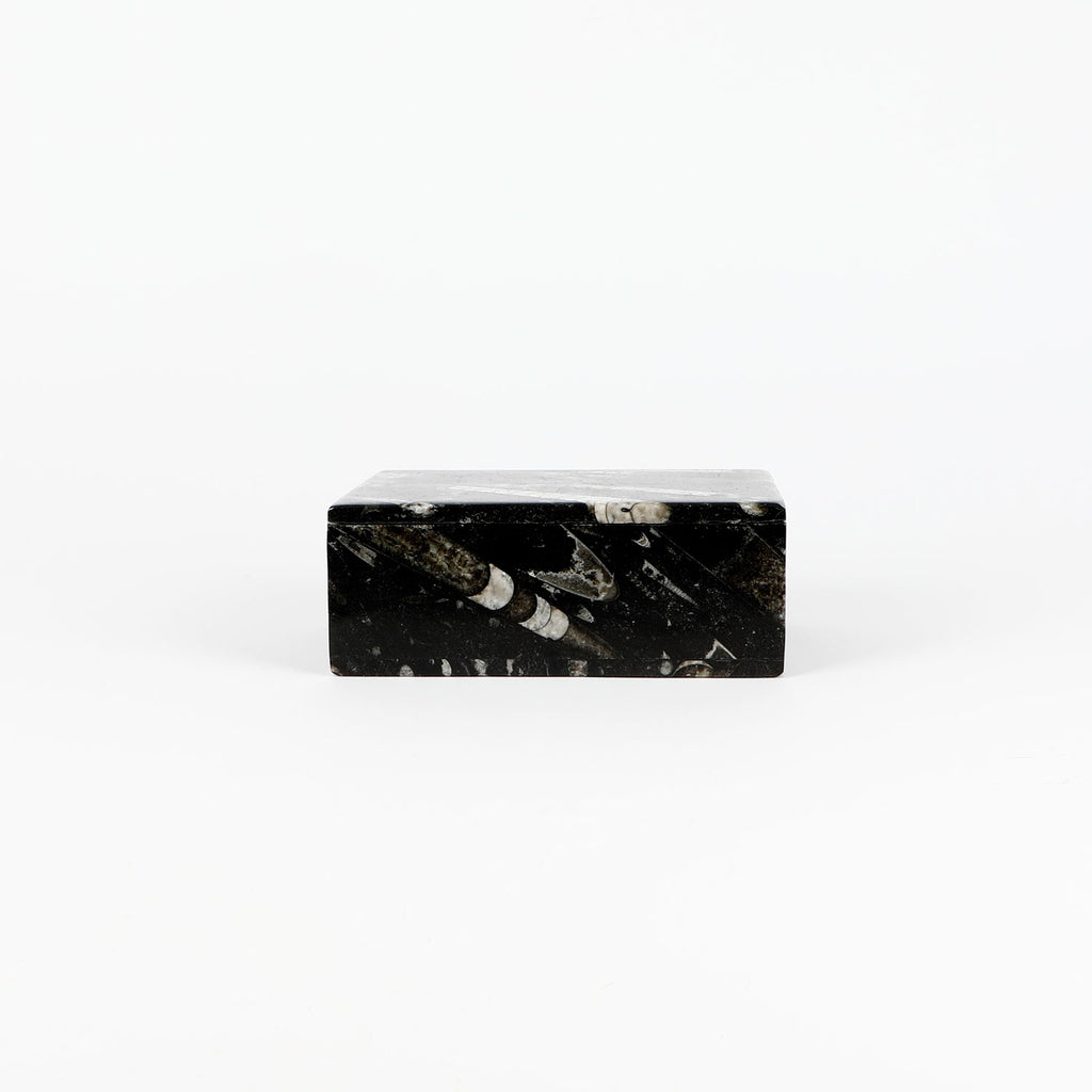 Black fossiliferous marbled jewellery box with a lid on a white background