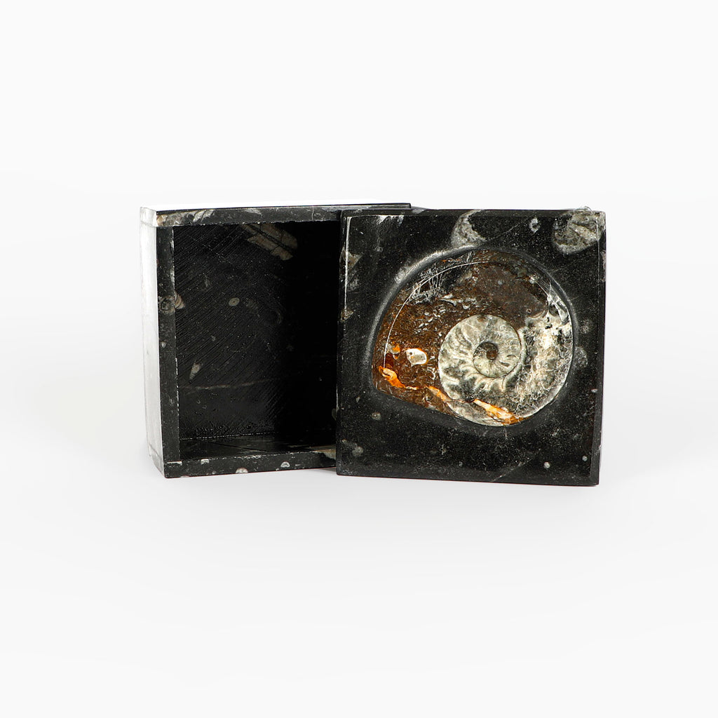 Black fossiliferous marbled jewellery box with a lid on a white background