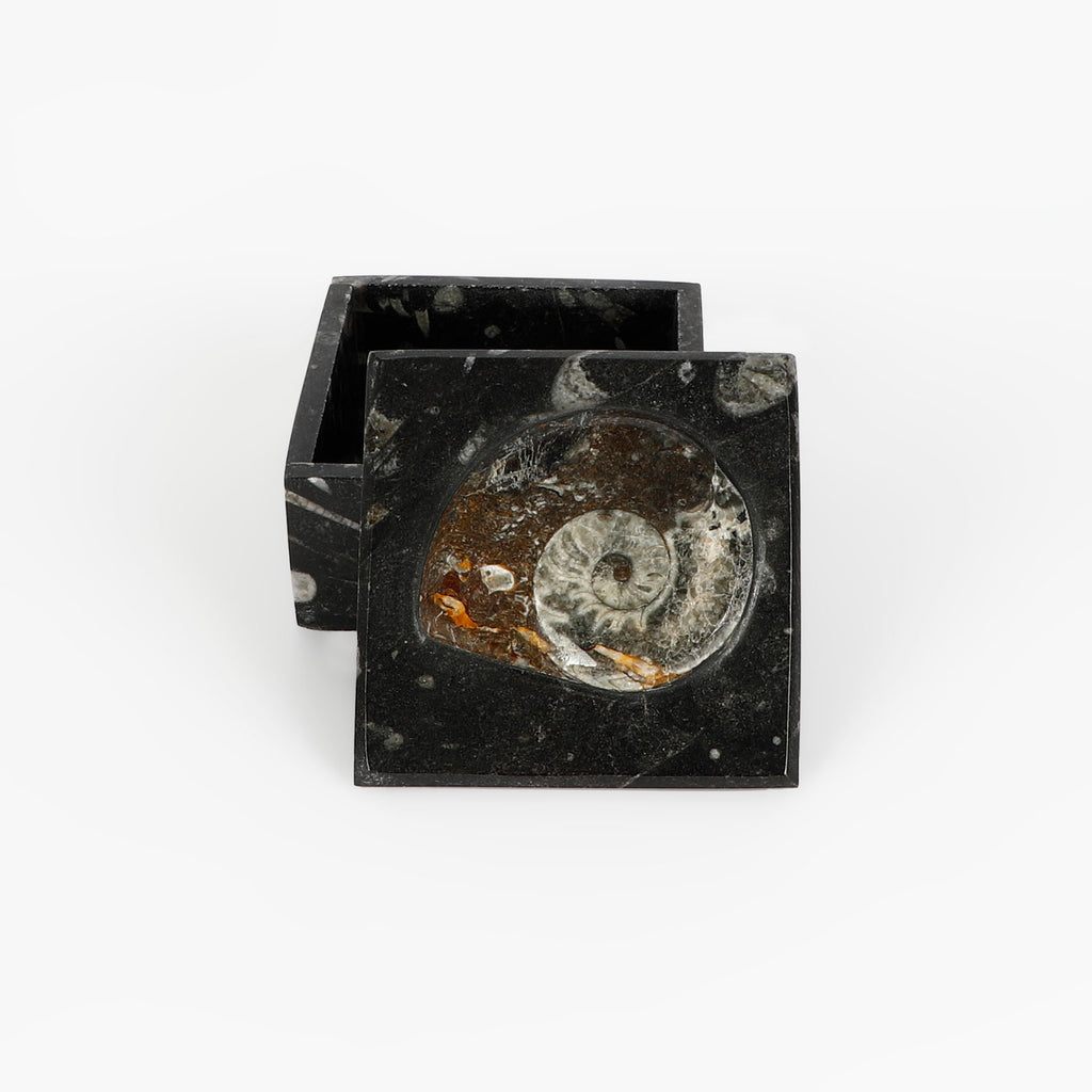 Black fossiliferous marbled jewellery box with a lid on a white background