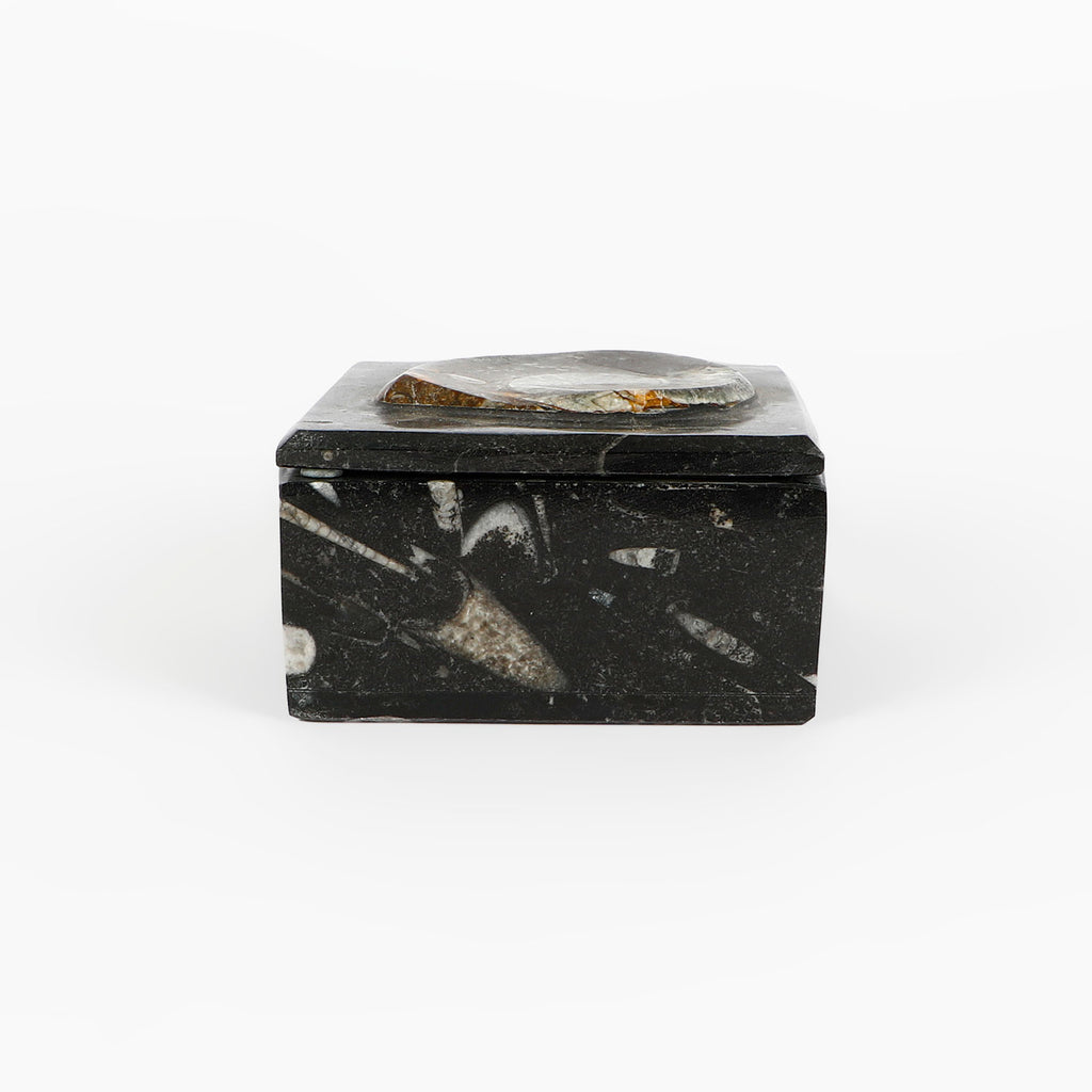 Black fossiliferous marbled jewellery box with a lid on a white background