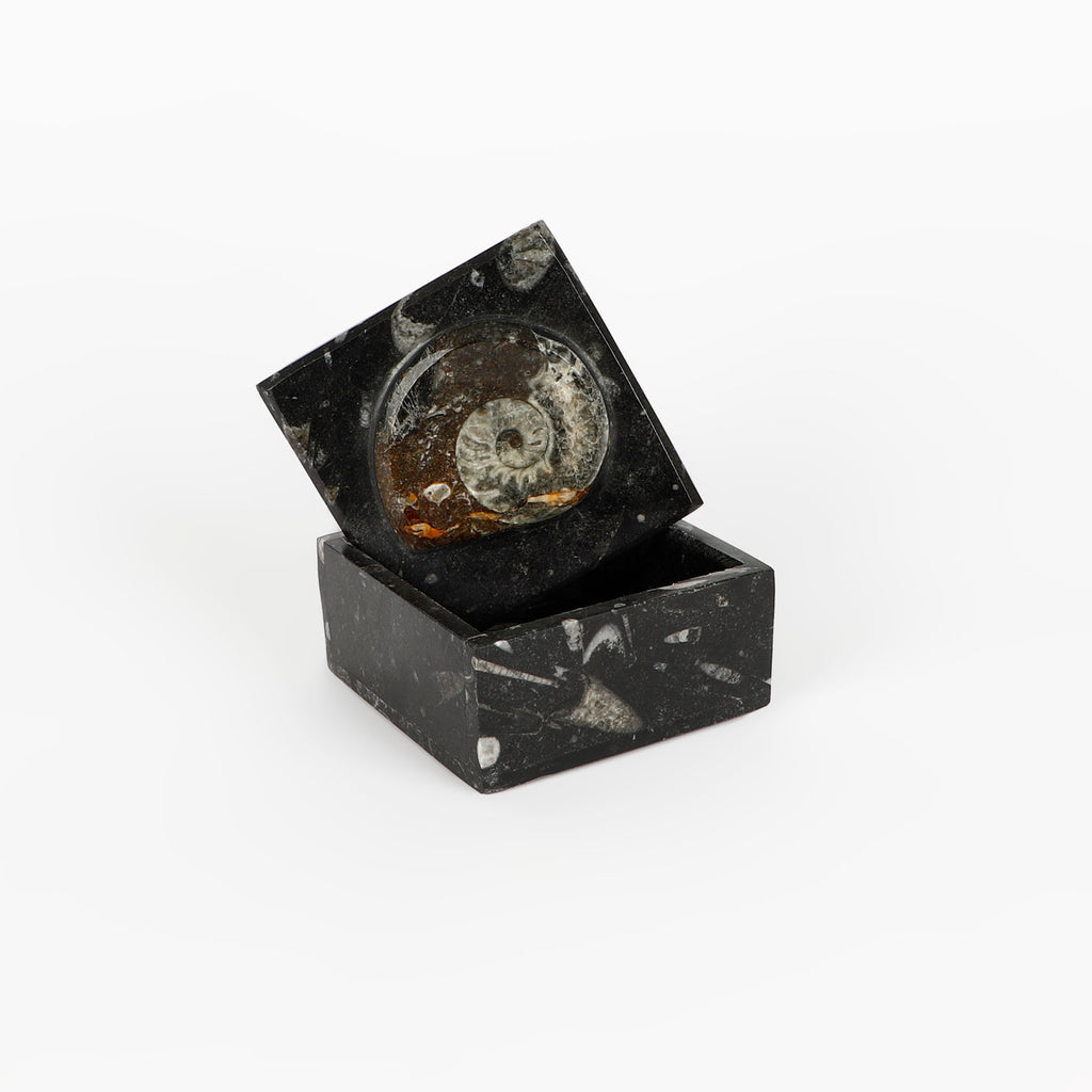 Black fossiliferous marbled jewellery box with a lid on a white background