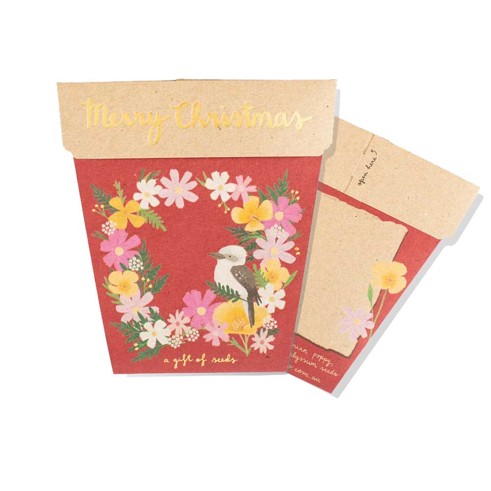 Christmas wildflowers seeds kit on white background. Australian Museum Shop online