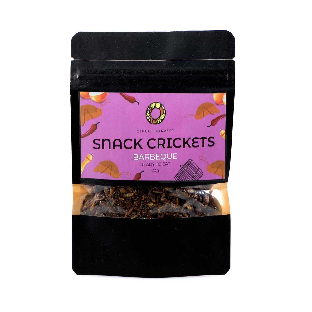 Edible insects gift pack barbecue snack crickets photographed on white background. Australian Museum shop online